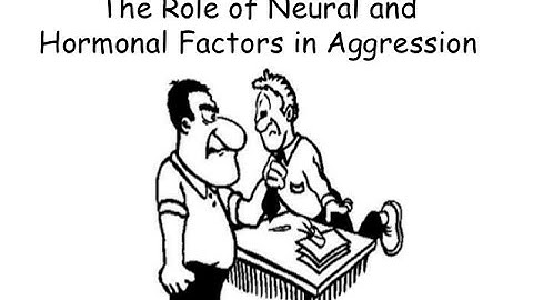 PSYA3: Neural and hormonal mechanisms into aggression