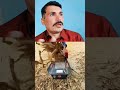 #reaction #watch #clips #machine #harwesting #catterpillar #motivation #shorts #shortvideo #ytshorts