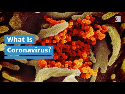 What is Coronavirus?
