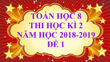 Toán học lớp 8 - Đề thi học kì 2 năm học 2019 - Đề 1