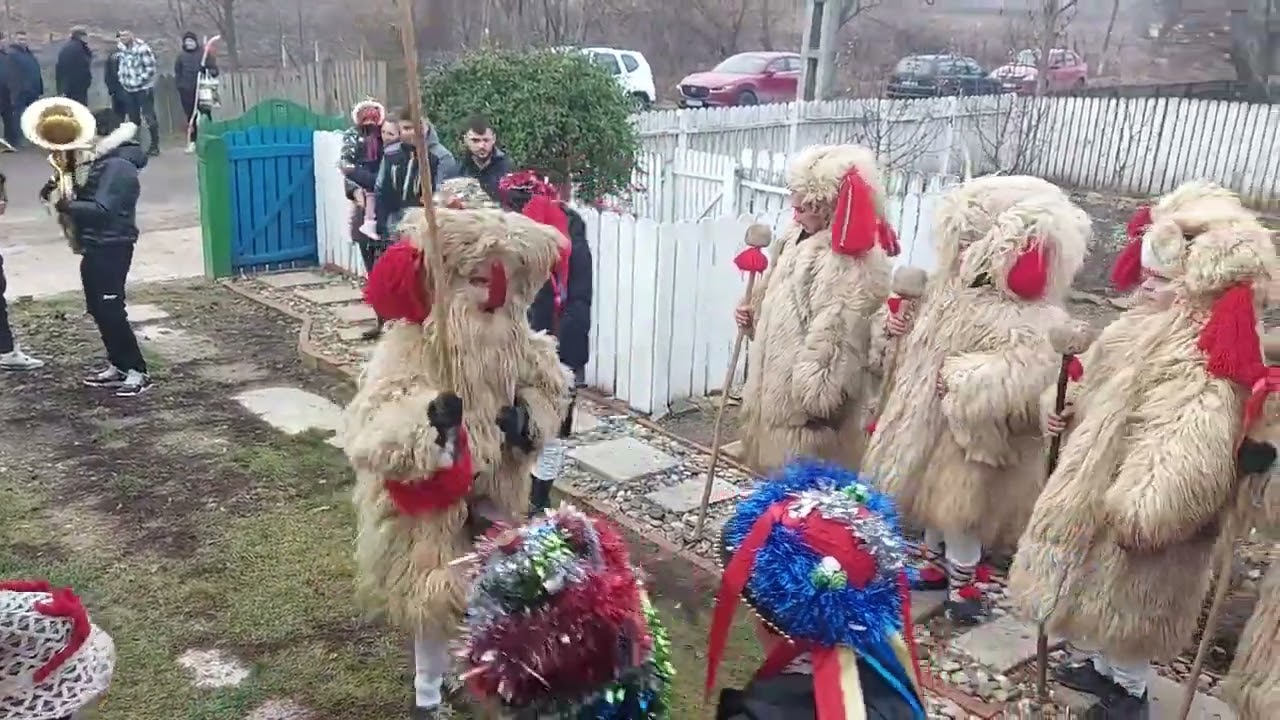 Capra Mare de la Bălești, Com  Cozmești, Jud  Vaslui