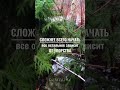 Сложнее всего начать. Всё остальное — вопрос упорства