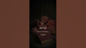 القرآن الكريم #اكتب شيء تؤجر عليه #💕🌷🕊🤍