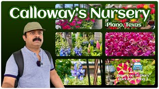 Calloway’s Nursery | Gardener’s Store | 25 stores in Texas with certified Staffs | April 2022 vlog 3