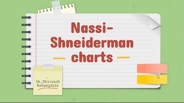 Nassi Schneiderman Chart