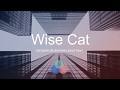 Wise cat