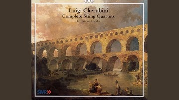 String Quartet No. 3 in D Minor: IV. Finale. Allegro risoluto