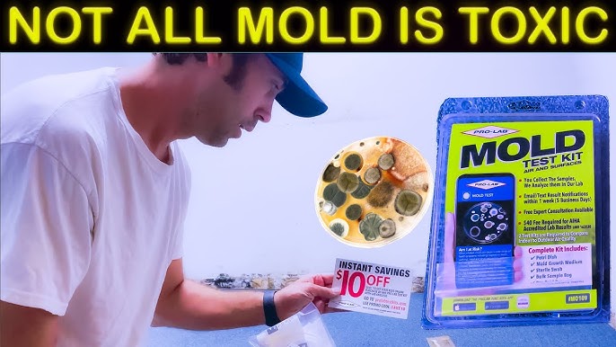 PRO-LAB Mold Test Kit