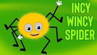 wincy incy spider