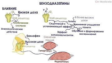 Бензодиазепины -  Противотревожные (анксиолитики) и снотворные препараты