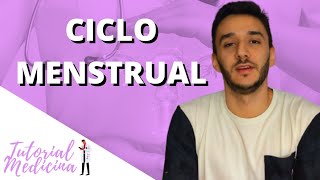 Como funciona o CICLO MENSTRUAL?