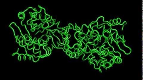 Structures of Burkholderia thailandensis nucleoside kinase - 2