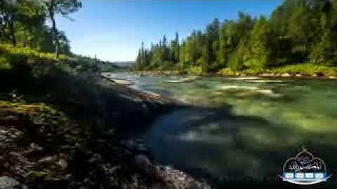 تلاوة خاشعة وباكية-بصوت القارئ اليمني جمال بن سالم"حفظه الله تعالى " إمام دار الحـديث