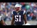 Jerod mayo  career highlights