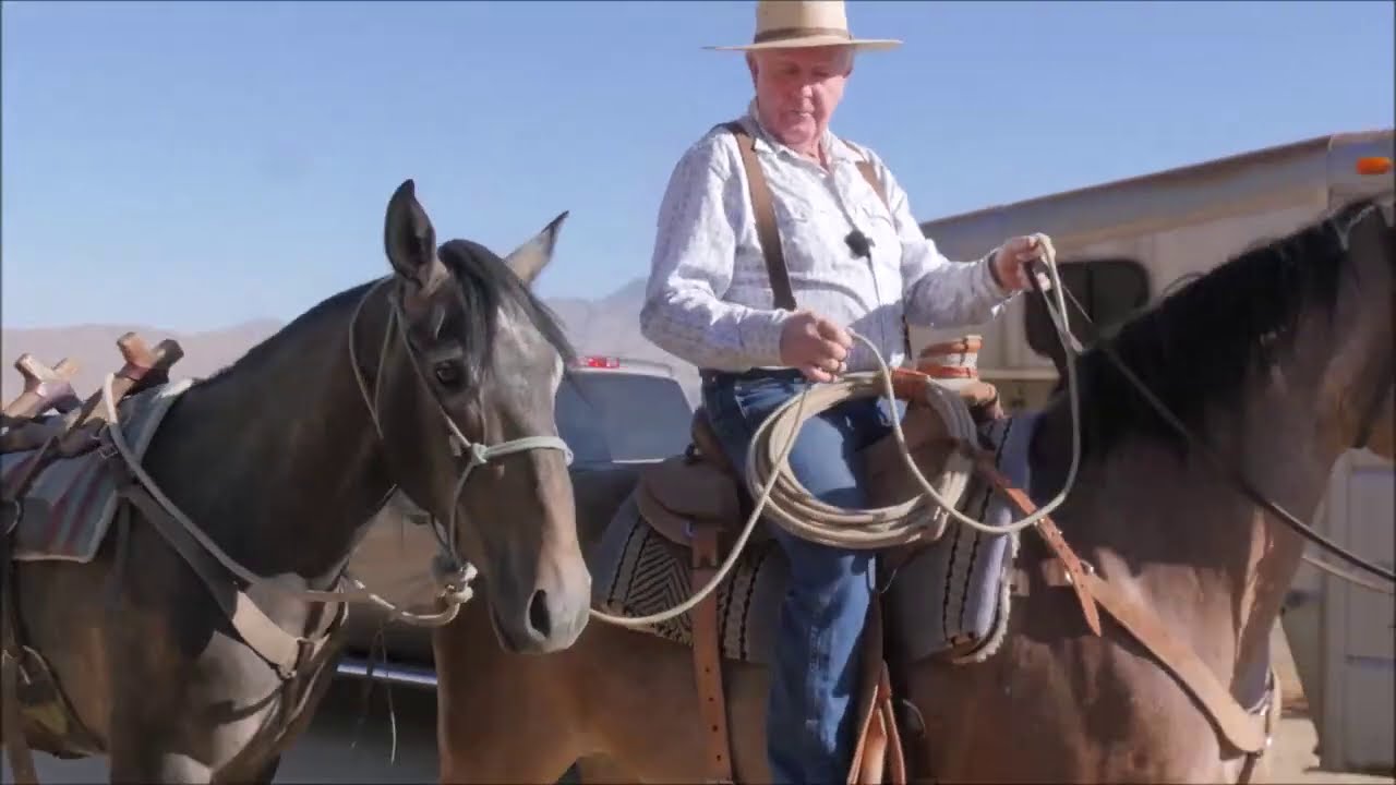 How to Pony a Horse - YouTube