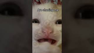 ABCDEFG gummy bears are chasing me one is red one is blue now I runned for my life cuz red has a 🔪🔪🔪