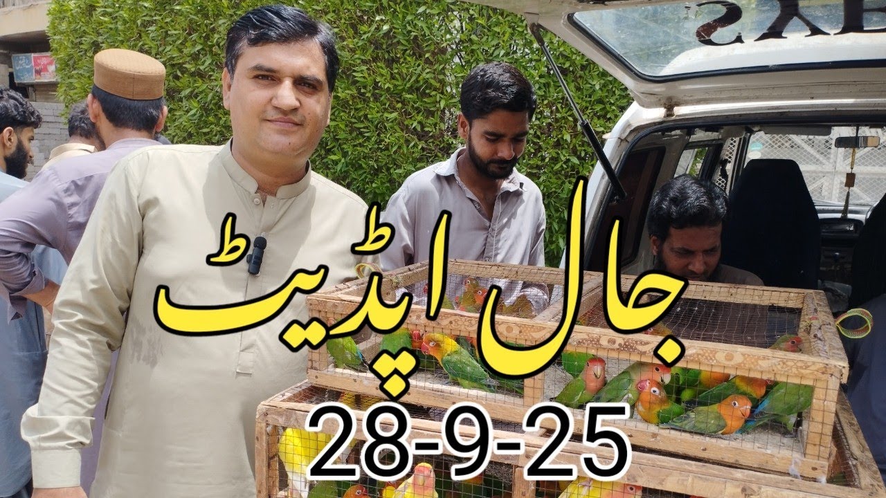 Birds Market Lalukhet Sunday Video Jaal Update 28-9-25 By Sohail Ahmed TV