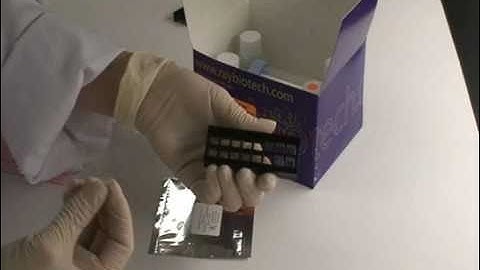 Multiplex Protein Detection with Quantibody® Arrays