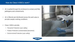 Biosafety Cabinet Selection 3 Steps For Success