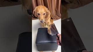 Brother, we are heart to heart, you...