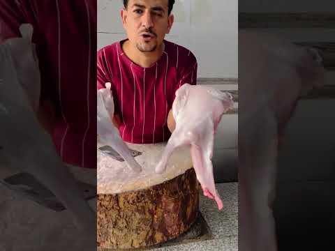 ابوعمار ملحمة محمد احمد العنوان شارع المطار جوار مطابع الكتاب المدرسي 6000 777703520 772582312