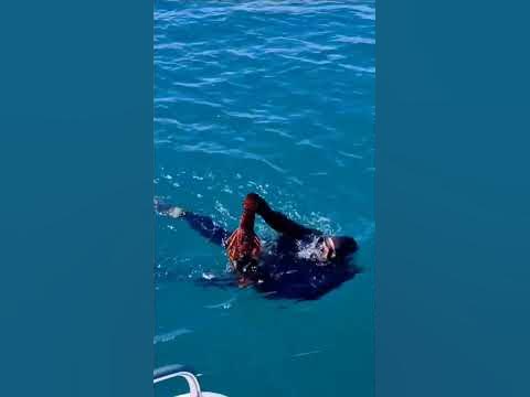 Catching HUGE crayfish at Robe - YouTube