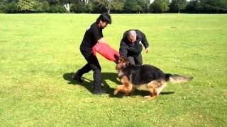 echo barking rocky 2