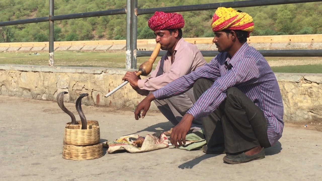 Snake Charmers at Amer Fort Jaipur Rajasthan