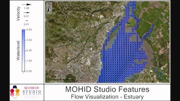 MOHID Studio - Flow Patterns