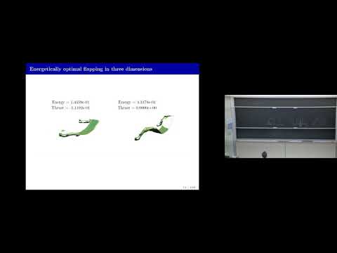 Prof. Zahr: Integrated