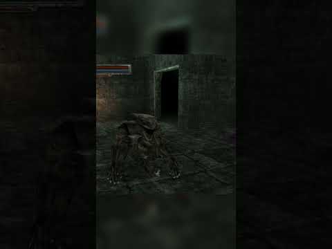 when you summon the xenolizard that freezes time when seen | #kingsfield #retrogaming #demolition_d
