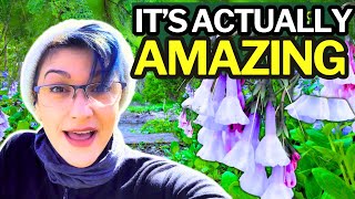 I HATED Gardening in the SHADE by Lisa Likes Plants 4,510 views 8 days ago 8 minutes, 34 seconds