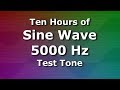 5 kHz Sine Wave Pure Test Tone for Ten Hours | 5000 Hz