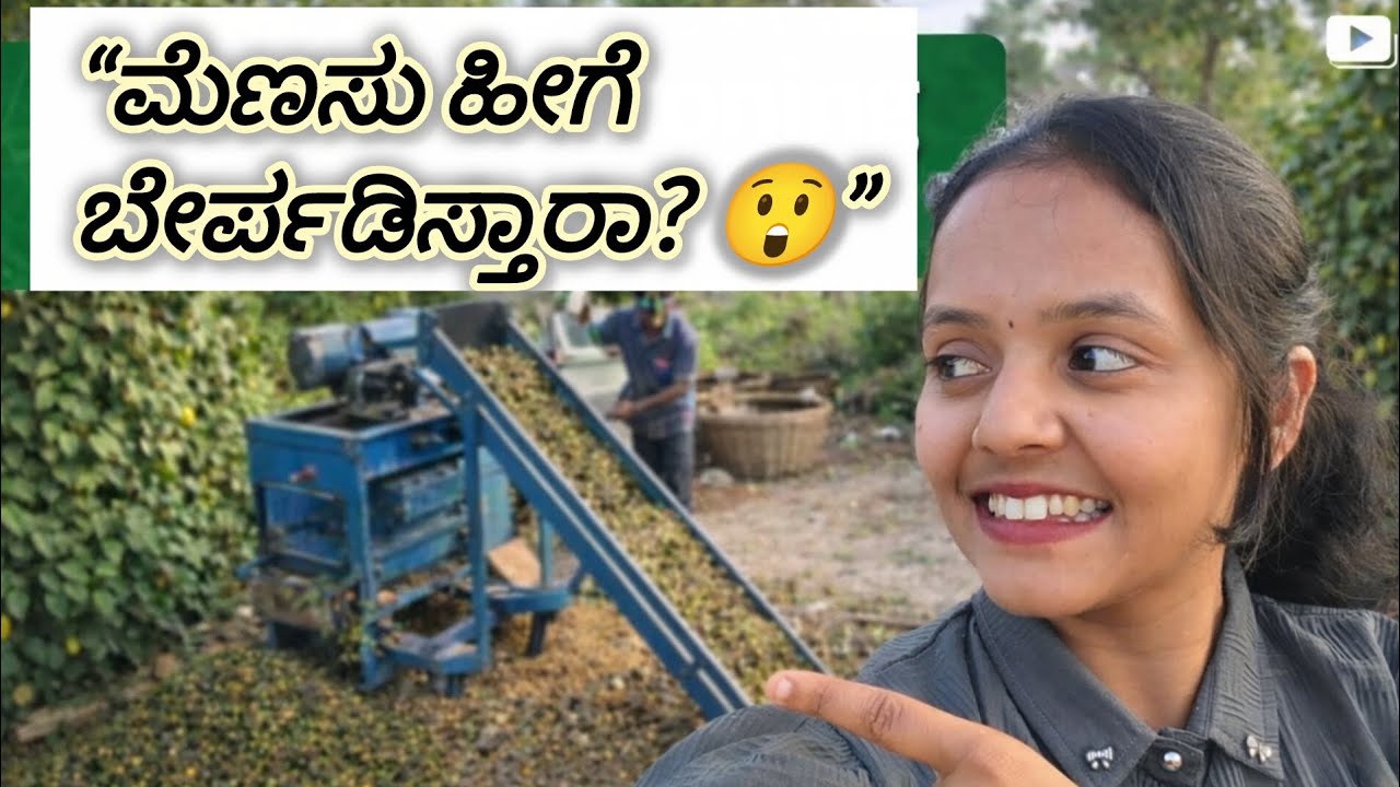 ಮೆಣಸು ಹೀಗೆ ಬೇರ್ಪಡಿಸ್ತಾರಾ? 😲 | Pepper Deconing Machine