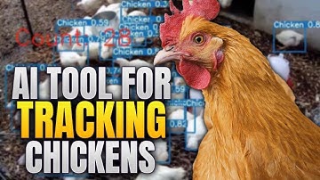 ChickTrack   Artificial Intelligence Tool for detection  counting and tracking of Chickens