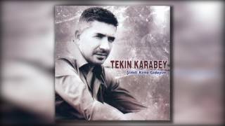 Tekin Karabey - Dara