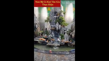 Hòn Non Bộ Đá San Hô