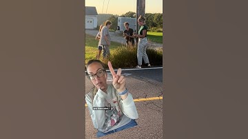 Cat distribution system!!!