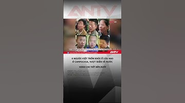 6 người Việt tháo chạy khỏi ổ lừa đảo ở Campuchia, vượt biên về nước #antv #shorts #thoisu #luadao