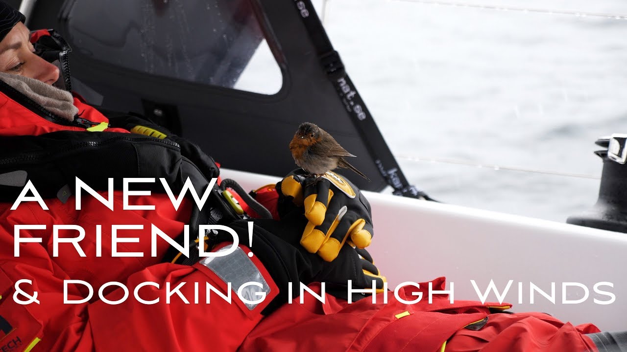 EP12 - Flying stowaways and docking in a force 6