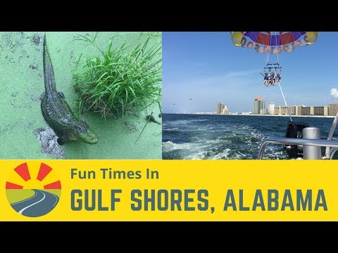 29 Best Things To Do In Gulf Shores Alabama