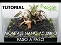 Cómo montar un nano acuario plantado en 5 pasos.