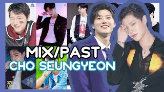 CHO SEUNGYEON (조승연) mix past live stage