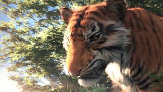 Tiger   Breakdown - CGI