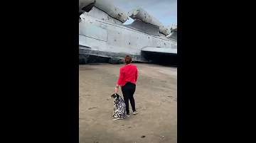 اخيرا شفنا طيارة عدنان ولينا Shorts 