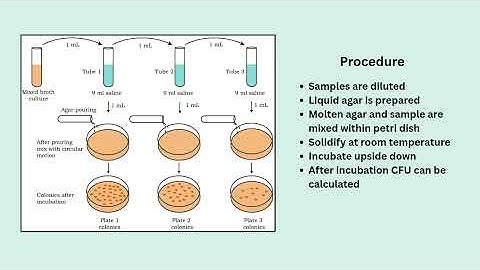 Traditional Methods of Isolation and Enumeration in Bacterial Colonies: The Pour Plate Method