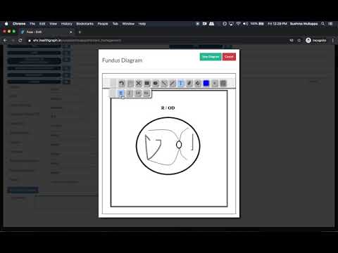 Healthgraph EMR Video