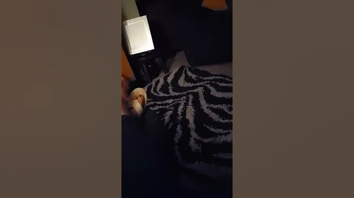 dance devil