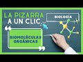 Biología: Biomoléculas Orgánicas