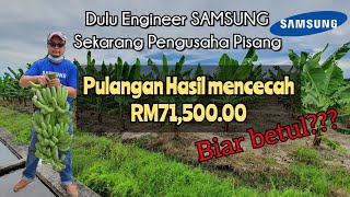 Dari Engineer Samsung, Kini Petani Sepenuh Masa | SOP Pokok Pisang